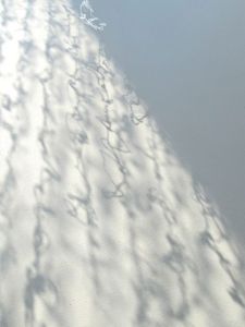 Interstitial_Gerri Sayler Artist