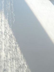 Interstitial_Gerri Sayler Artist