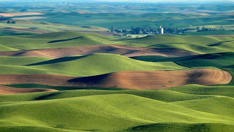Palouse hills Moscow Idaho