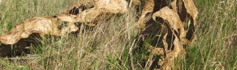 outdoor sculpture made of waxed butcher paper and baling wire by Gerri Sayler nestled in the grass at Palouse-Clearwater Environmental Institute