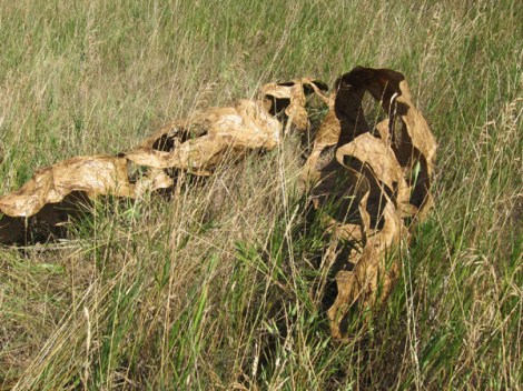 outdoor sculpture made of waxed butcher paper and baling wire by Gerri Sayler nestled in the grass at Palouse-Clearwater Environmental Institute